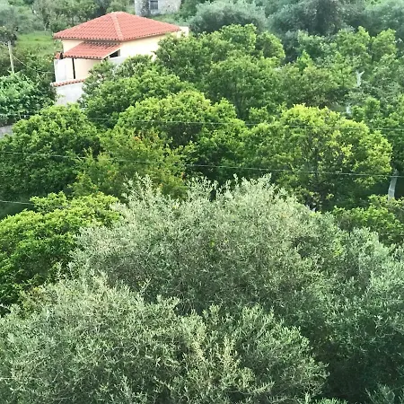 بيت ضيافة Vial 4*
